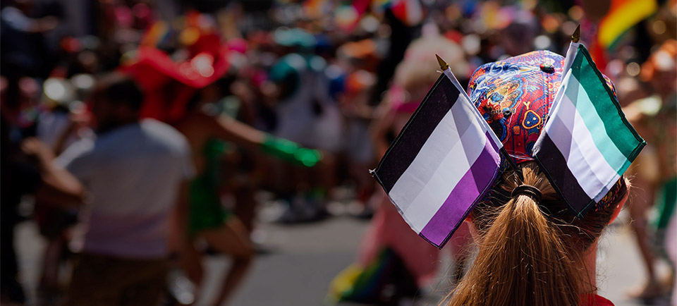 The back of the head a white person watching a pride parade. The person has a colorful hat and a ponytail holding small ace and aro flags.